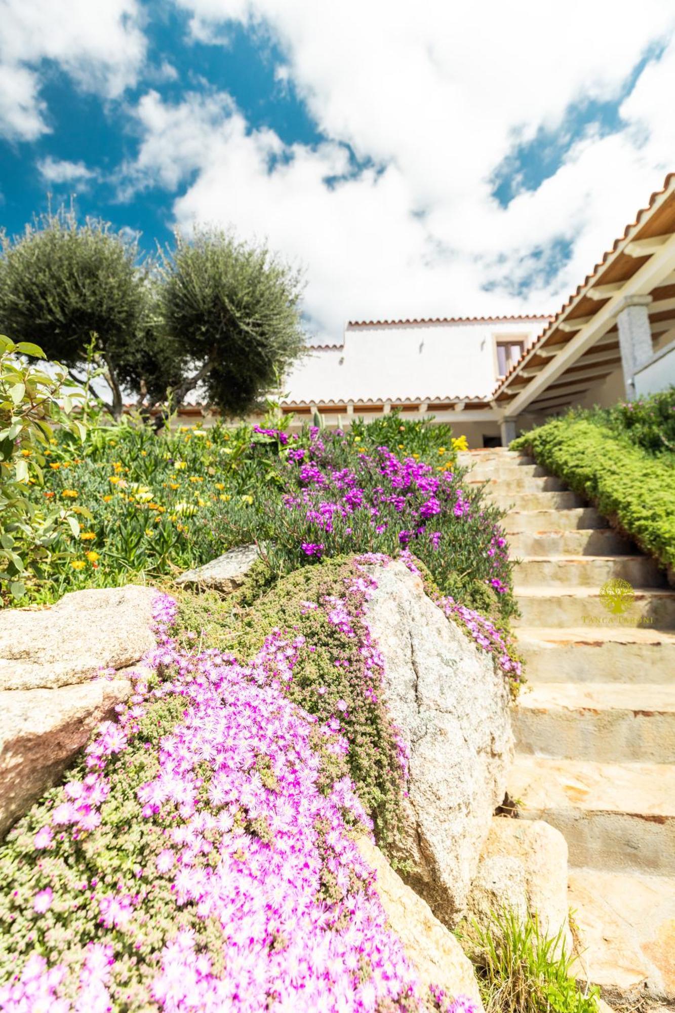 Agriturismo Bed And Breakfast Tanca Taroni Telti Exterior foto